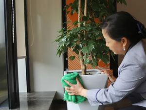 学校医院保洁消毒标准全解析：专业清洁守护健康安全